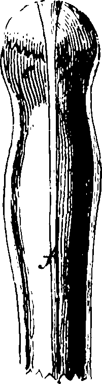 117/117380010304740_1.png