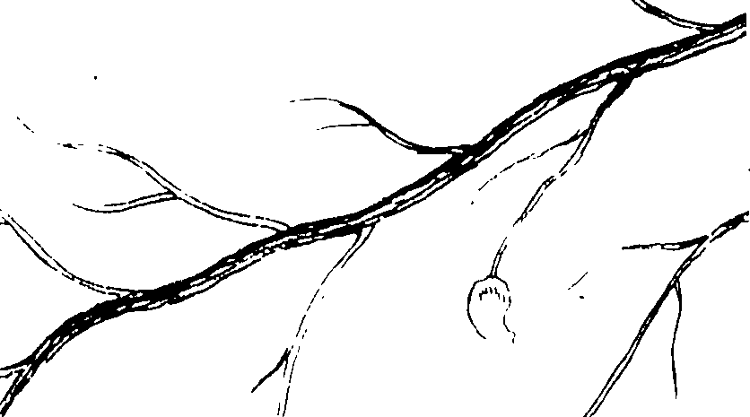 117/117380010305090_0.png