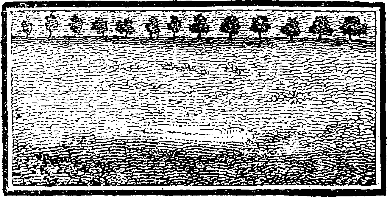 117/117380010400760_1.png