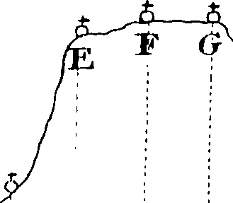 117/117390010504740_0.png