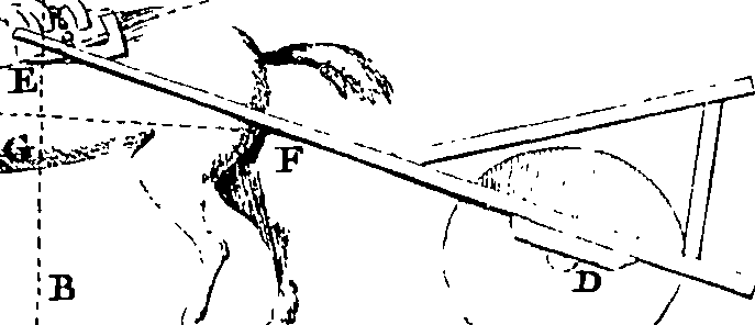 117/117390010506310_0.png