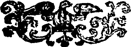 117/117440010202810_0.png