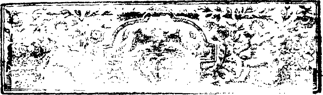 117/117480120000030_1.png