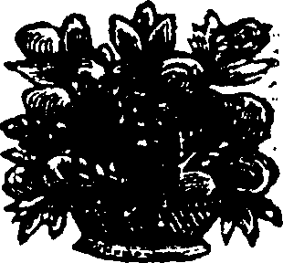 117/117490060000010_0.png
