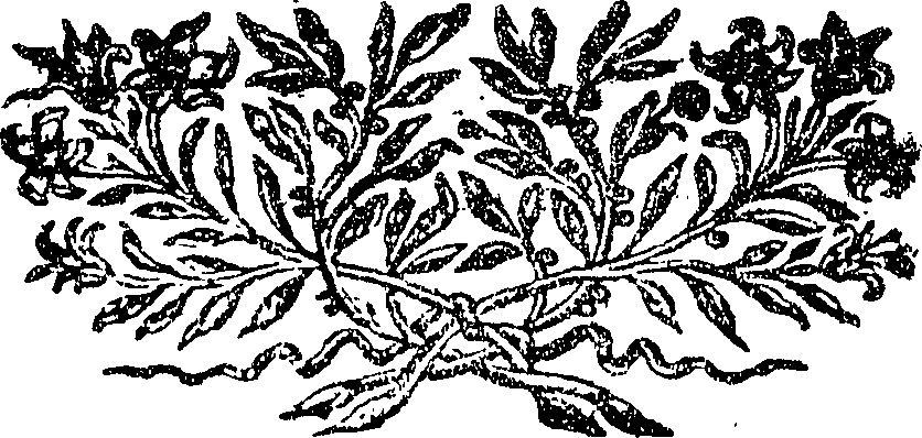 117/117500050000380_0.png