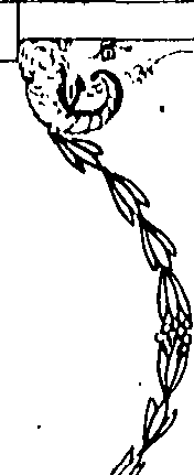 117/117520010000390_1.png