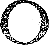 117/117540200000010_0.png