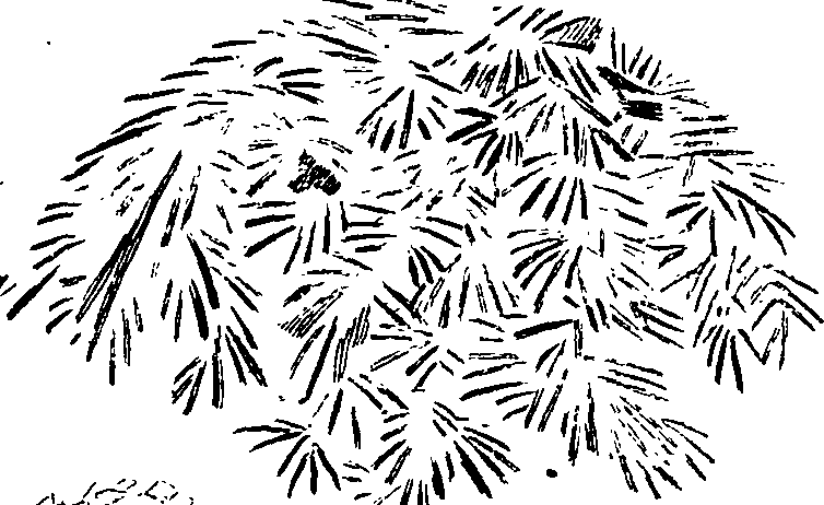 117/117800015705800_3.png