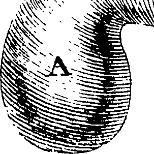 117/117800015706030_1.png
