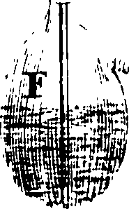 117/117800015706070_0.png