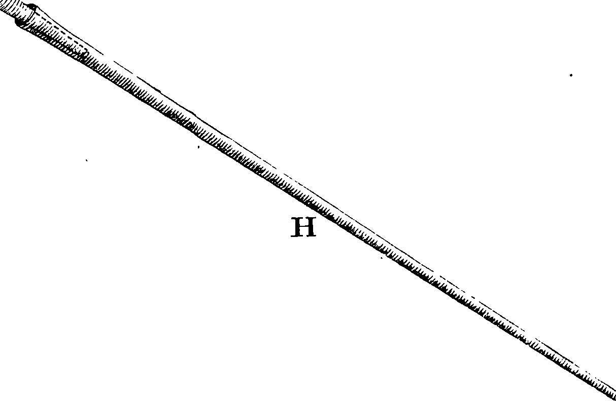 117/117800015706080_0.png