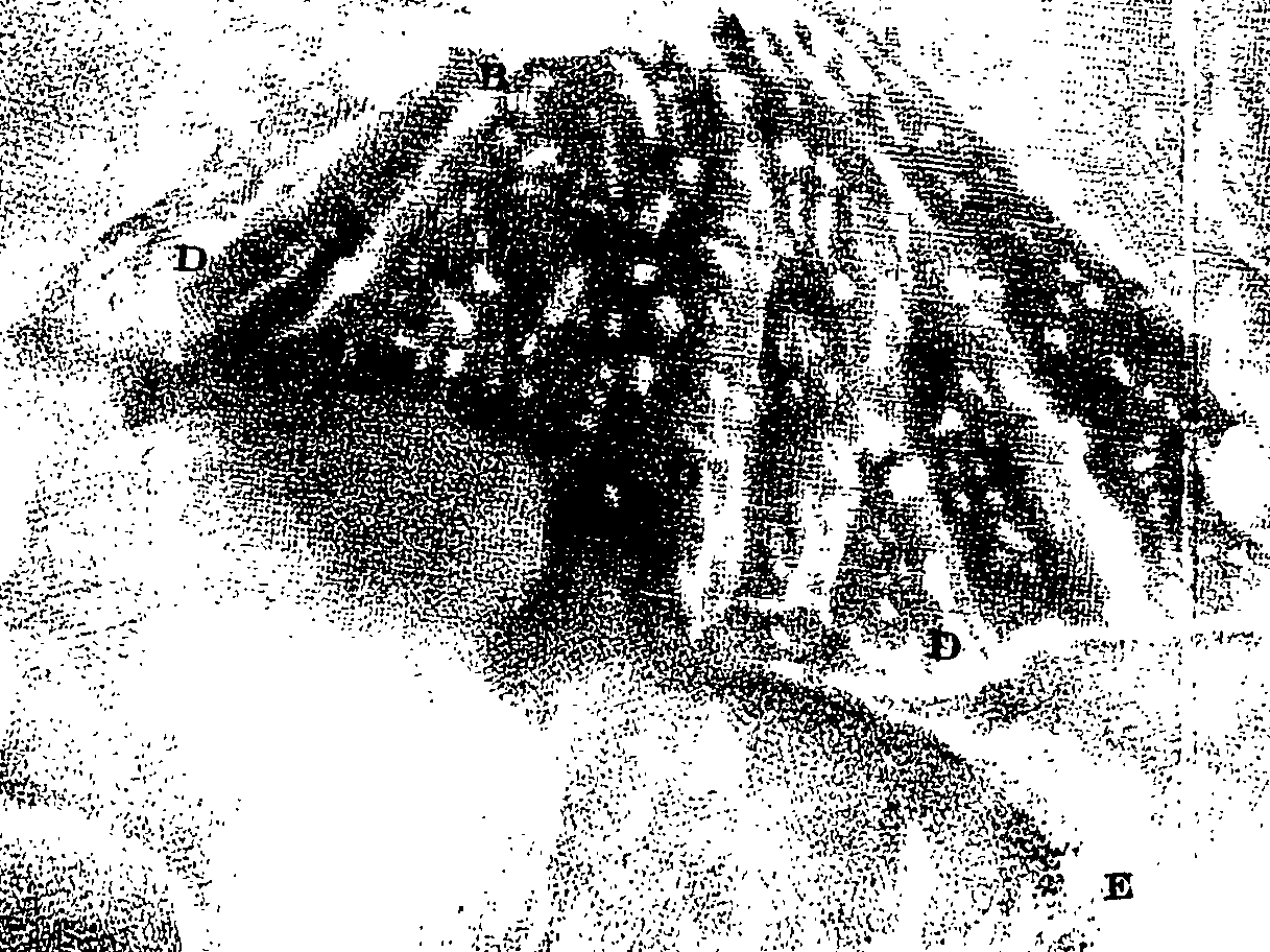 117/117800015800290_0.png