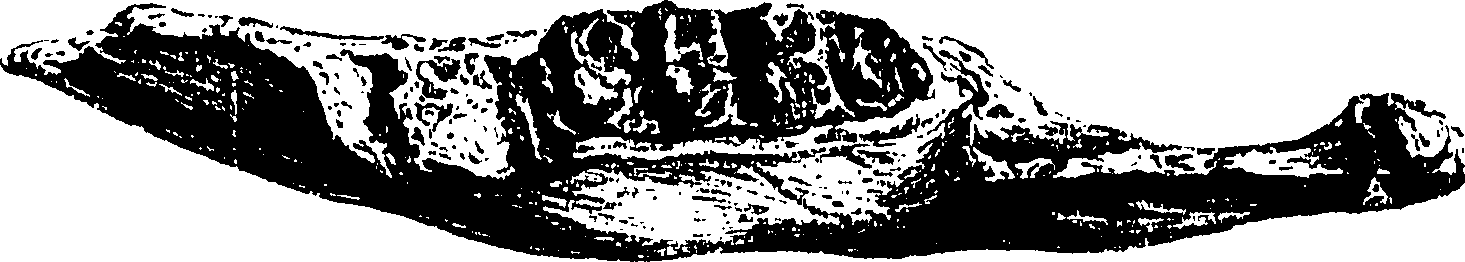 117/117800015800600_0.png