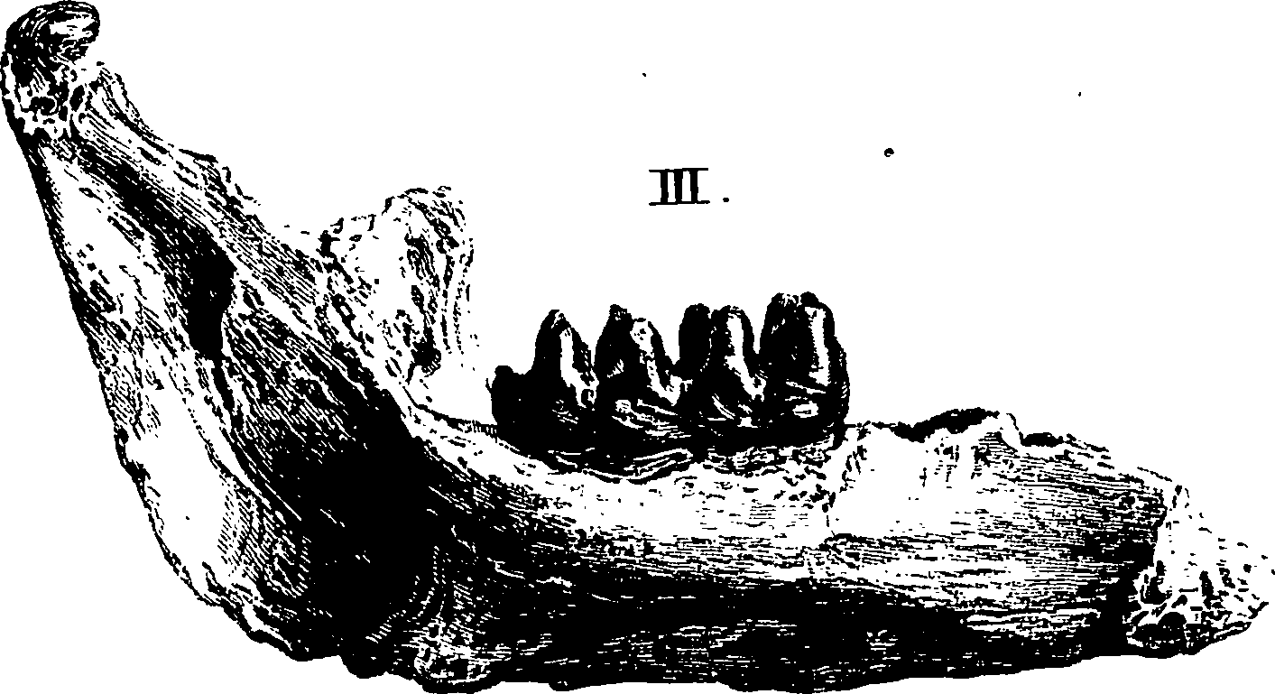 117/117800015800600_1.png