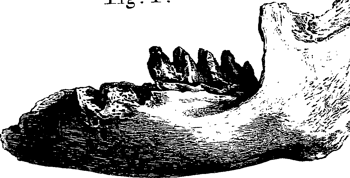 117/117800015800600_2.png