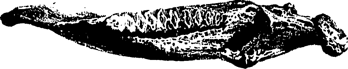 117/117800015800610_0.png
