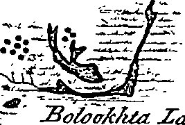 117/117800015802480_0.png