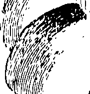117/117800015802520_0.png