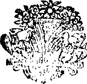 118/118070150000210_0.png