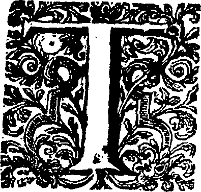 118/118120140000020_0.png