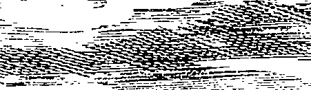 118/118130010100170_0.png