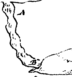 118/118130010106660_0.png