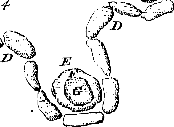 118/118130010201650_0.png