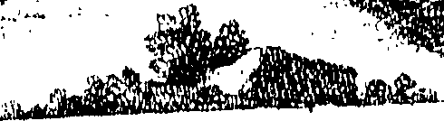 118/118230010000010_0.png