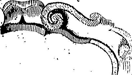 118/118240100000040_1.png
