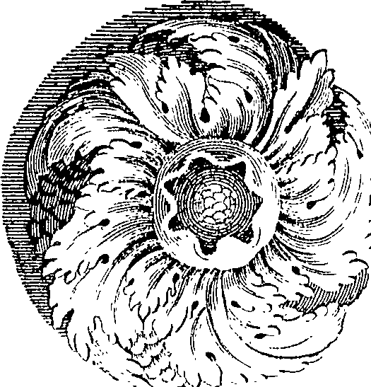 118/118240100001480_2.png