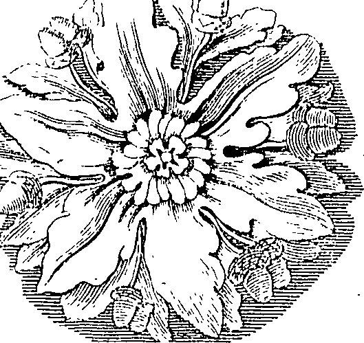 118/118240100001490_5.png
