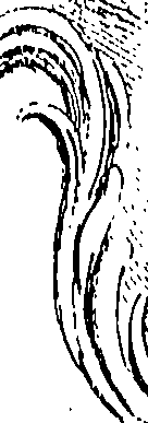 118/118240100001560_0.png