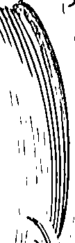 118/118240100001570_1.png