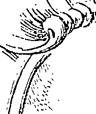 118/118240100001570_2.png
