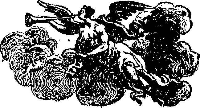 118/118250040000050_0.png