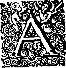 118/118250040000510_0.png