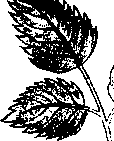 118/118250090000420_0.png