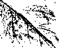 118/118250090000460_0.png