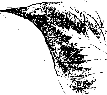 118/118250090000460_1.png