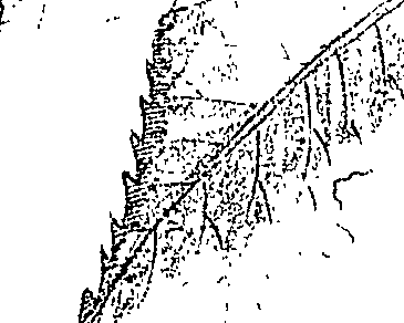 118/118250090000490_0.png