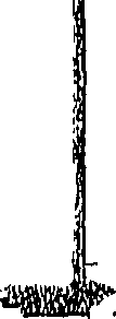 118/118250100000150_0.png