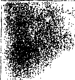 118/118250100000210_3.png