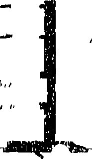 118/118250100000220_0.png