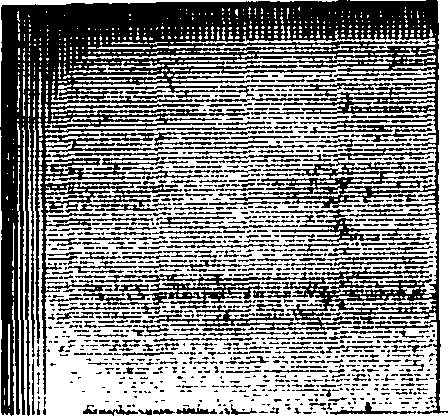 118/118250140001650_0.png