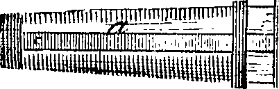 118/118300020002570_0.png