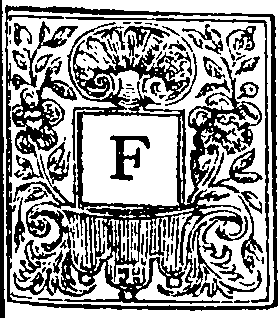 118/118320220000050_0.png