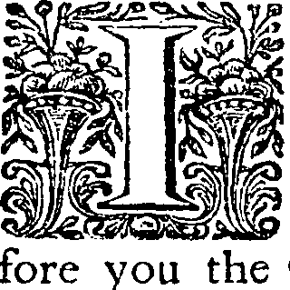 118/118330210000020_0.png