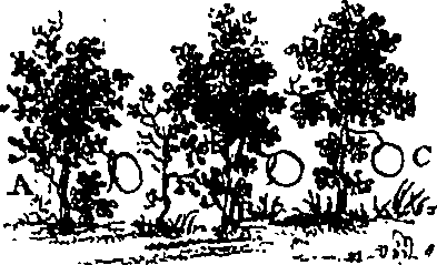 118/118360030002360_2.png