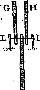 118/118360030003050_0.png