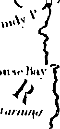 118/118370020001120_2.png